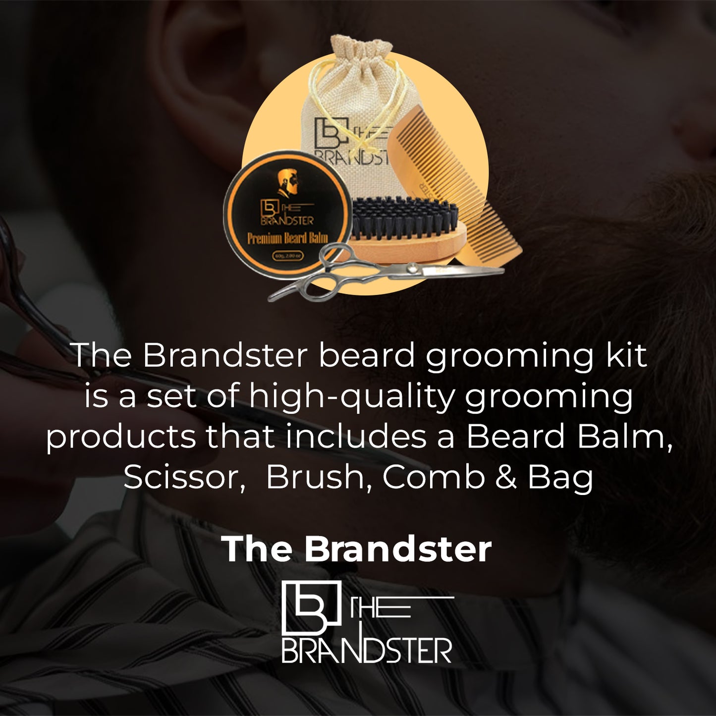 The Brandster 4 in 1 Beard Kit Styling Beard Grooming and Trimming Kit